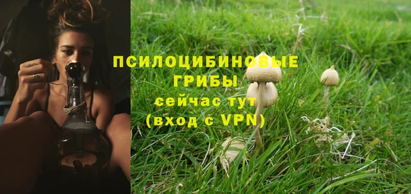 амф Остров