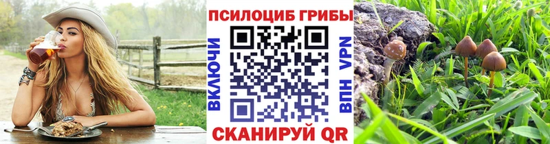 OMG зеркало  Инсар  Галлюциногенные грибы ЛСД 